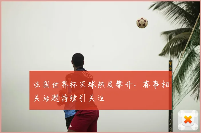 法国世界杯买球热度攀升,赛事相关话题持续引关注