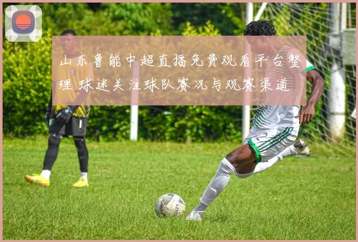山东鲁能中超直播免费观看平台整理 球迷关注球队赛况与观赛渠道