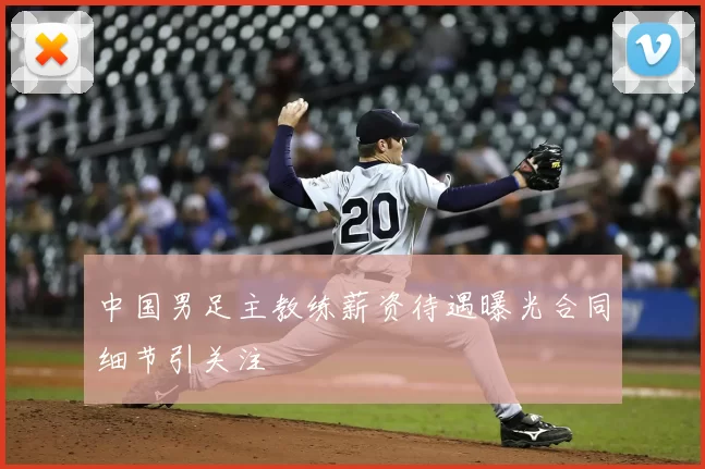 中国男足主教练薪资待遇曝光合同细节引关注